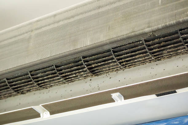 Best Residential Air Duct Cleaning  in Kingsville, MD